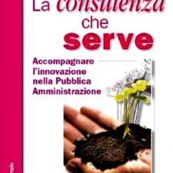 La consulenza che serve